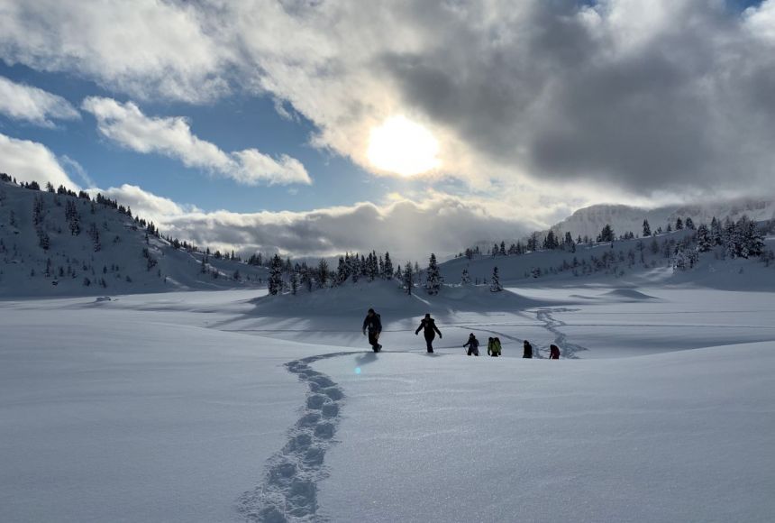 Banff Sunshine Meadows Guided Snowshoeing Program