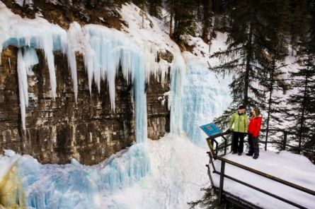 Johnston Canyon Icewalk Guided Tours in Banff