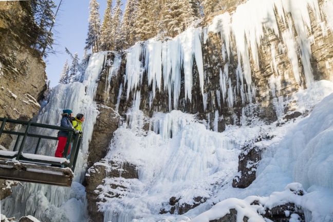 Cathedral of Ice at Johnston Canyon Icewalk 
