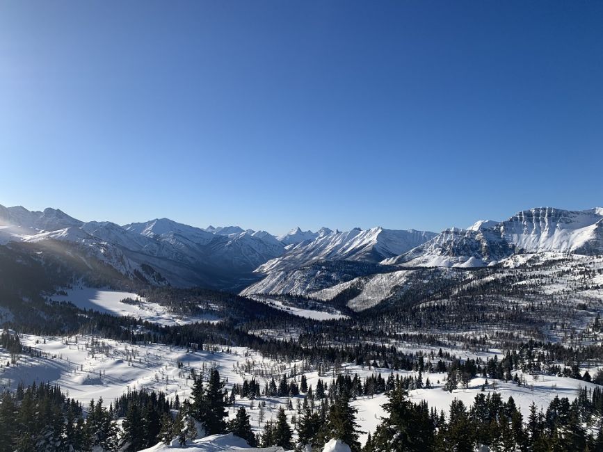 Sunshine Meadows Snowshoe