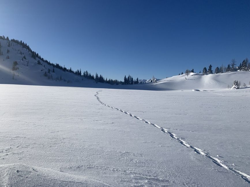 Rock Isle Lake Snowshoe