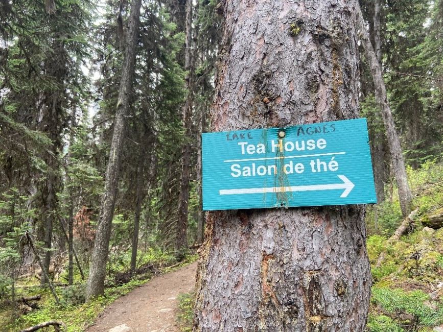 Hike to Lake Agnes