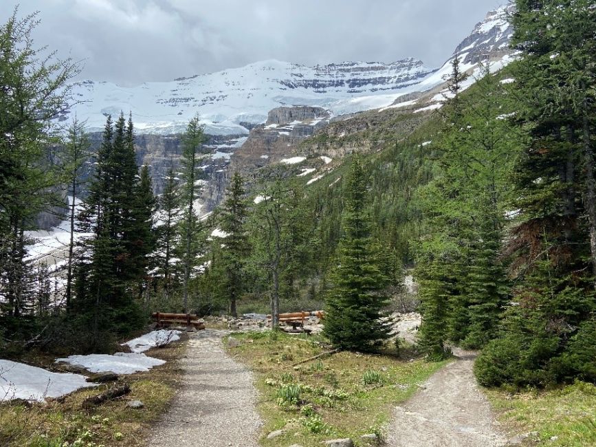 Lake Louise Glaciers