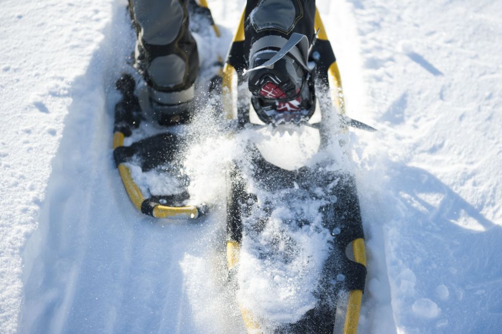 modern snowshoe with aluminum frames