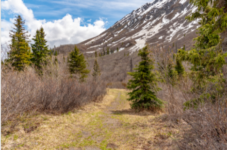 Hiking Trail