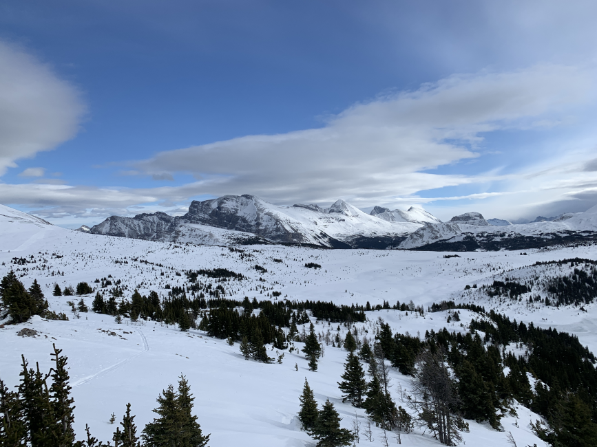 Backcountry snowshoe