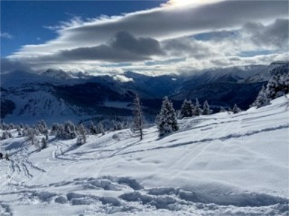 snowshoe landscape