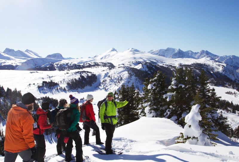 Banff Snowshoeing Tour Sunshine Meadows on Top of The World