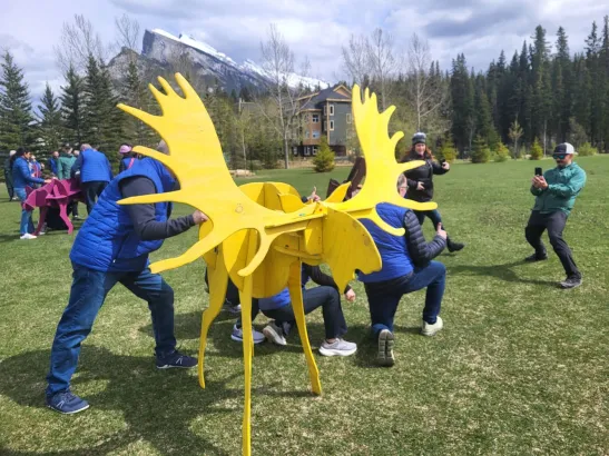 Banff Teambuilding, 3D life-size animal Moose puzzle