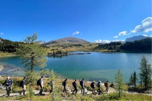 Group of hikers walking toward an alpine lake in Sunshine Meadows with mountain peaks in the background, Banff National Park