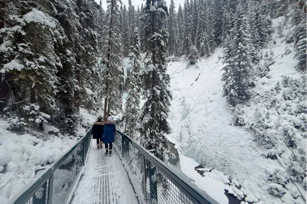 Hikers approaching Johnston Canyon Upper Falls with icy walls along the trail and snow-covered fallen trees above 