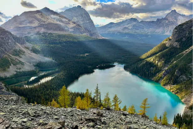 Turquoise alpine lake surrounded by golden larch trees under dramatic cloudy sky in Yoho National Park