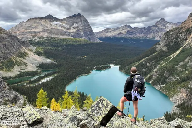 Alpine summit view of Lake O’Hara with hiker on rock edge, turquoise lake below, and forested mountain landscape beyond in Yoho National Park