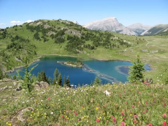 Rock Isle Lake, hiking at Sunshine Meadows in Banff National Park, Canadian Rockies
