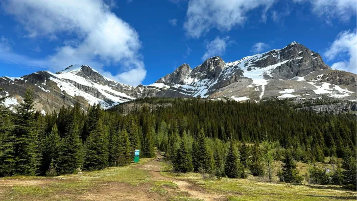 Path leading into alpine forest on Skoki hike with towering snow-capped peaks under clear skies in Banff National Park