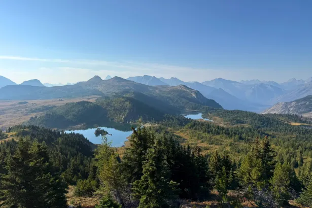 Sunshine Viewpoint panorama showing alpine fields, clear lake, and mountain range in Canadian Rockies
