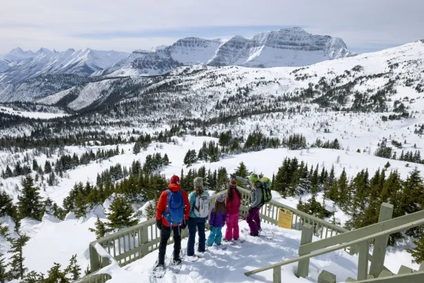 Group standing at Sunshine viewpoint overlooking mountain range