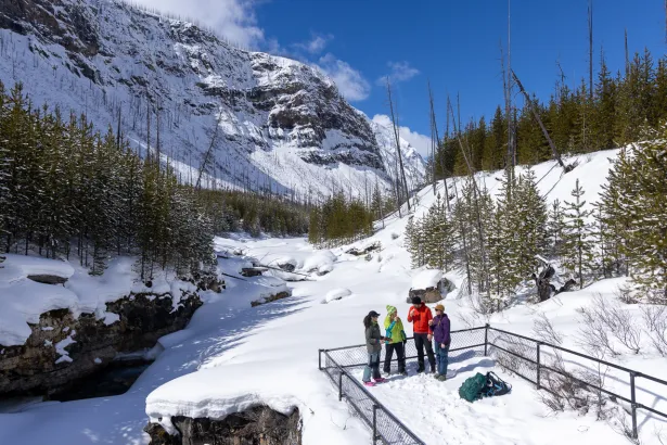 Group with guide at upper viewpoint during Marble Canyon icewalk