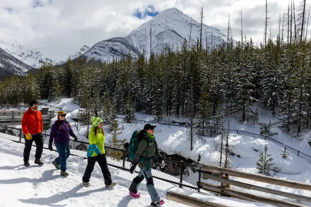 Guide leading group along Marble Canyon icewalk trail in winter