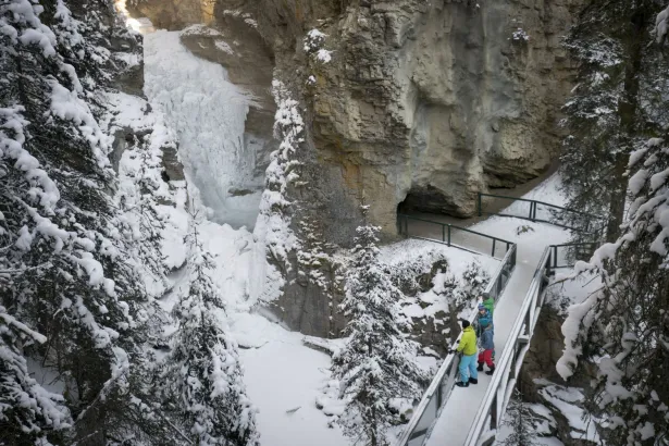 Guided group viewing Lower Falls during Johnston Canyon icewalk