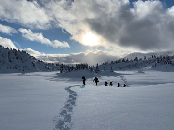 Snowshoe tracks at Sunshine Meadows in Banff