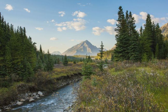 Hiking Mount Nester in Kananaskis