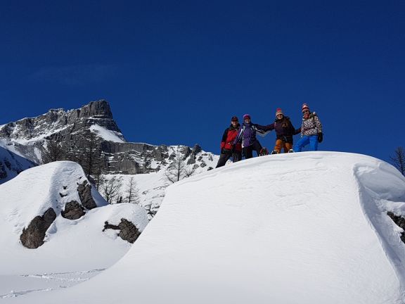 Snowcat Snowshoe Adventure with White Mountain Adventures