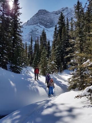 Snowcat Snowshoe Adventure with White Mountain Adventures