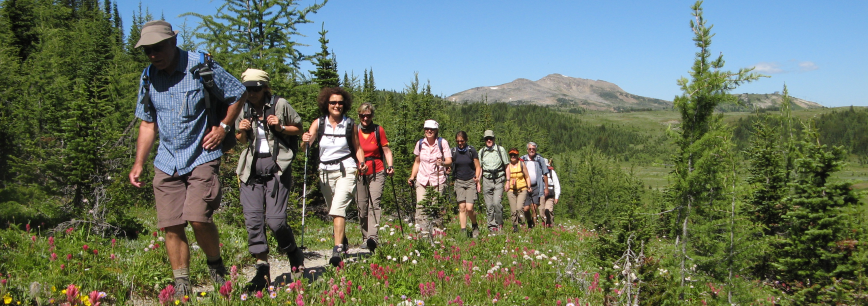 daily guided hike Canadian Rockies