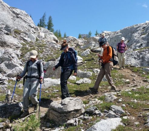 Private Hikes and Tours with White Mountain Adventures