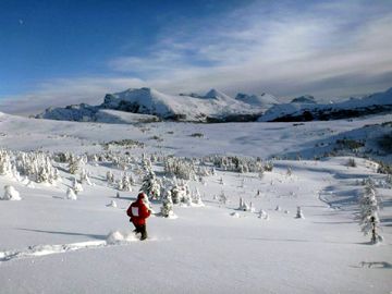 Making your own path banff snowshoeing at its best